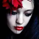 Camelia2D